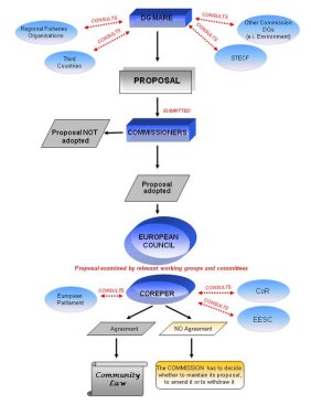 EU Parl process