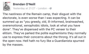 b-oneill-rage-of-the-elitist-camp