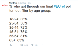 EU Ref sky data turnout-by-age